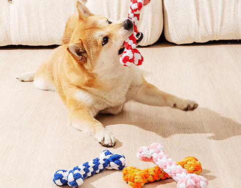 Why Rope Chew Toys Are a Must-Have for Every Dog Owner