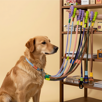 Colorful Braided Rope Dog Leash – Multi-Color Collection