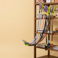 多色牵引绳场景图